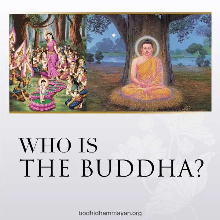 Who is the Buddha?